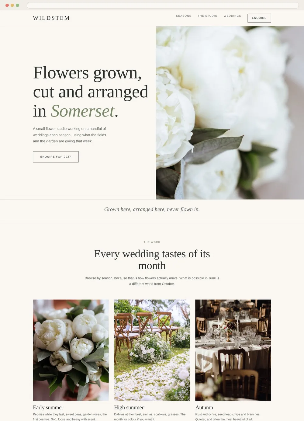 The full Wildstem homepage scrolled out, showing seasons, story and services